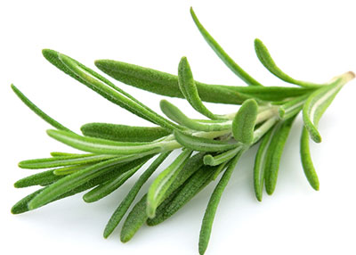 فوايدرزماری