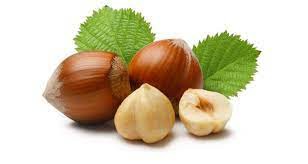 فوايدفندق