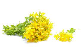 فوایدگل راعی