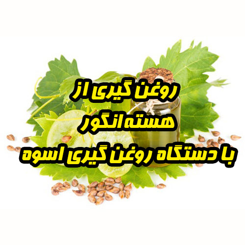 روغن گیری از هسته انگور